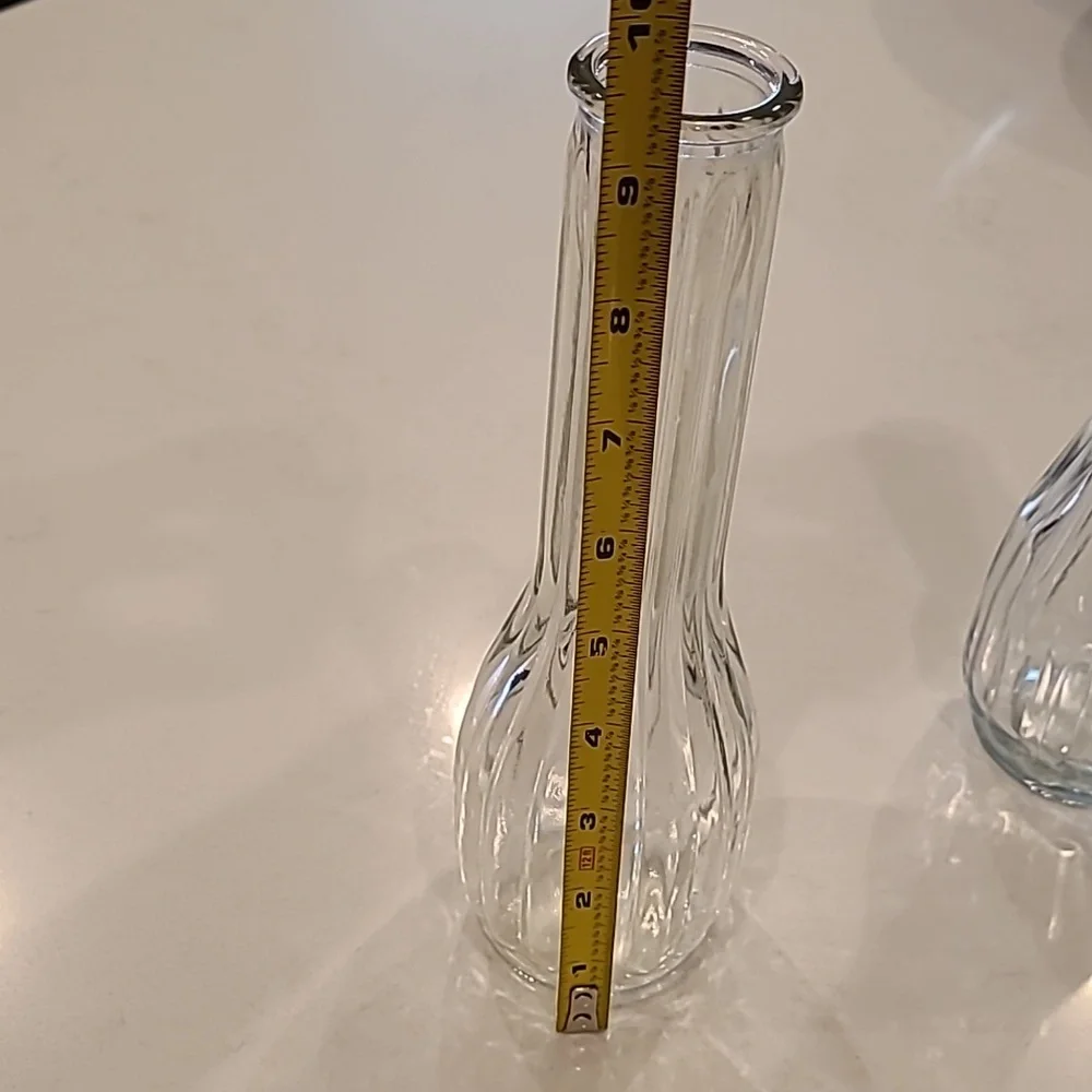 Elegant Clear Glass Vases - Set of 2